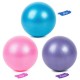 25cm Yoga Ball Anti-burst Thick Stability Ball Mini Pilates Barre Physical Ball