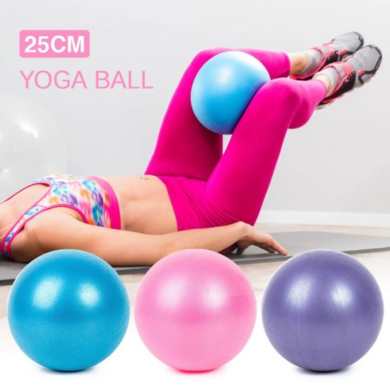 25cm Yoga Ball Anti-burst Thick Stability Ball Mini Pilates Barre Physical Ball