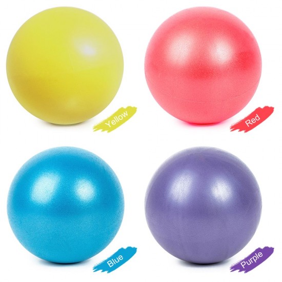 25cm Yoga Ball Anti-burst Thick Stability Ball Mini Pilates Barre Physical Ball