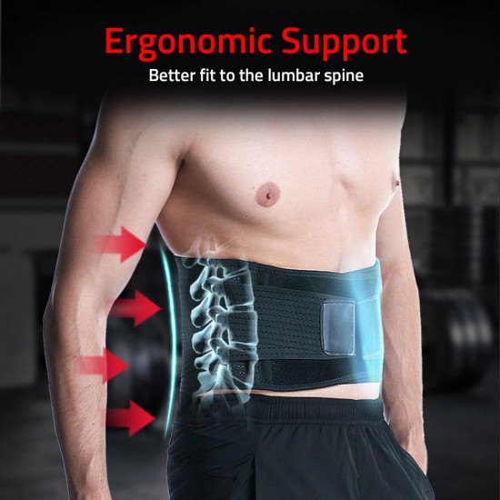 Sports Back Support Brace Breathable Waist Support Belt Adjustable Pain Relief Belt Waist Protective Belt